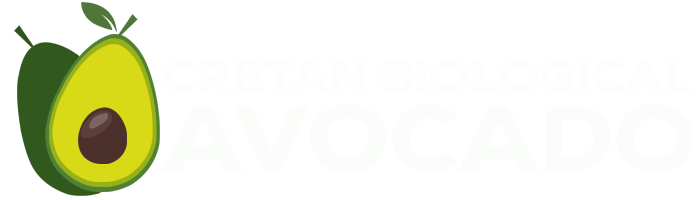 Cretan Avocado - Κρητικό Αβοκάντο