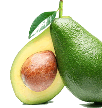 100% Βιολογικά Αβοκάντο από την Κρήτη
