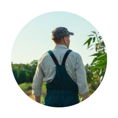 Cretan Avocado - Παντελής Τουπάδακης